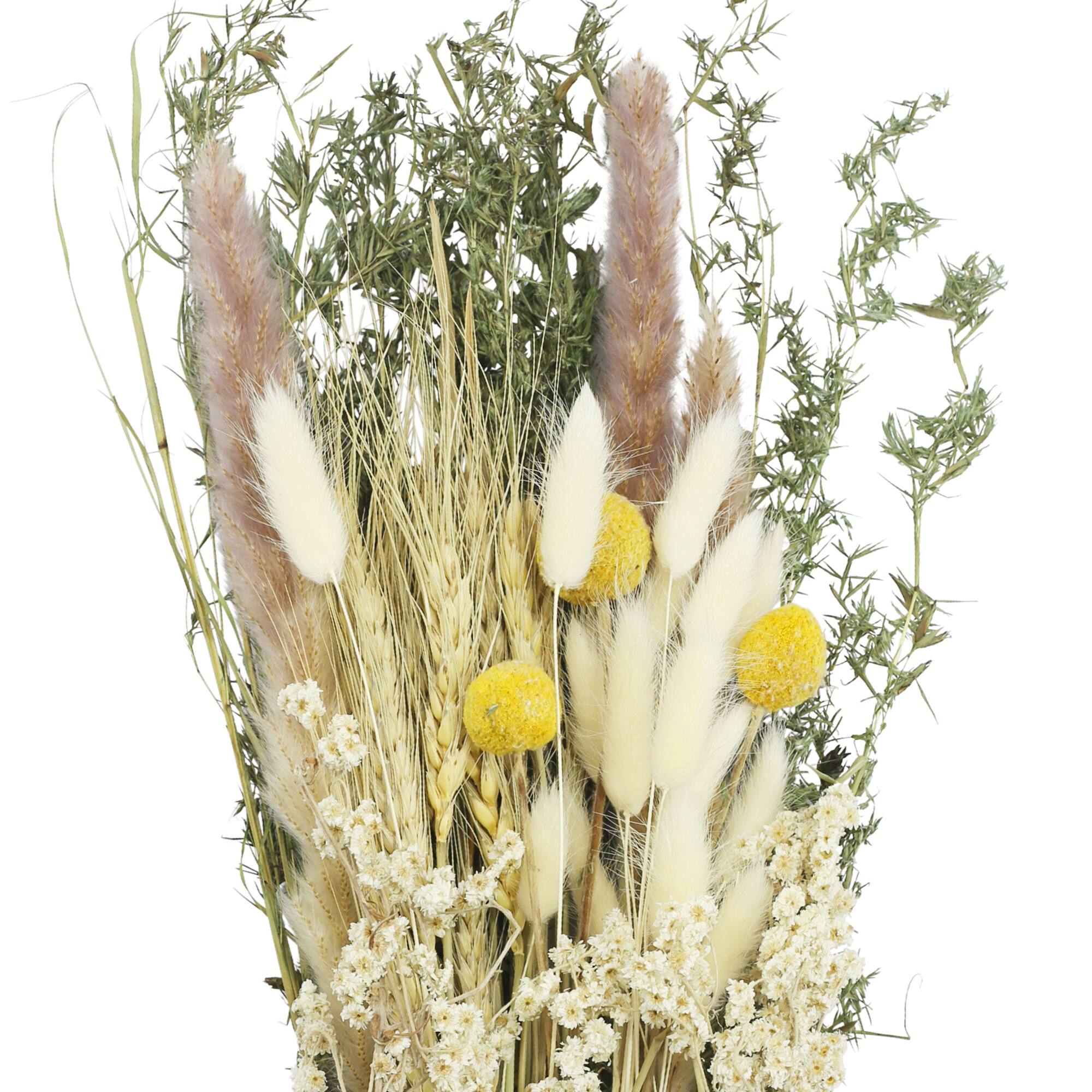 24" Green Dried Foliage Bouquet by Ashland®